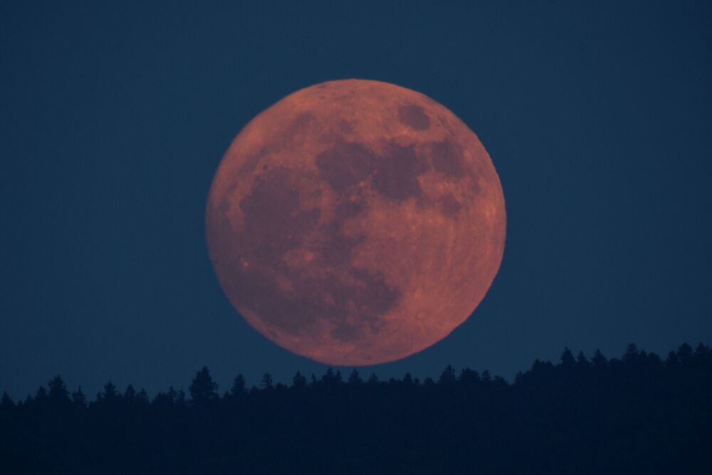 Nach einem klaren Tag ging am Abend des 30.5.2026 in Hallwil AG der Vollmond rot über dem Horizont auf. (Foto: Andreas Walker)